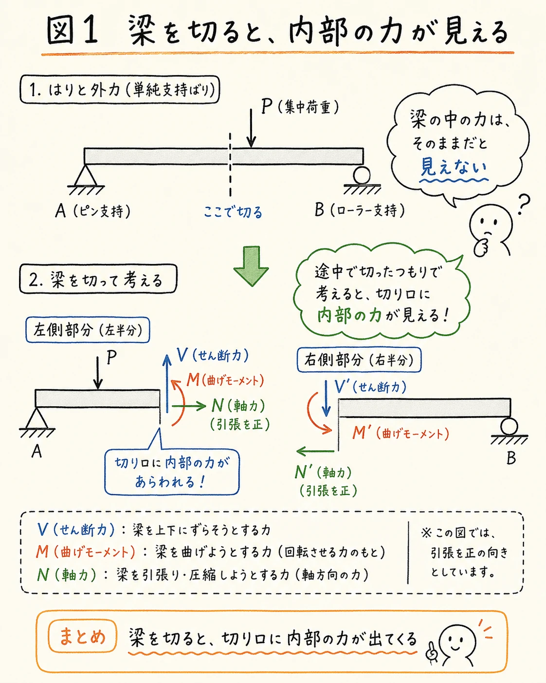 梁を切ると内部の力が見える