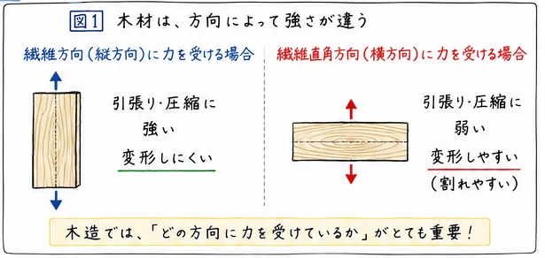 木材は方向によって強さが変わる