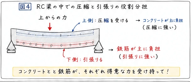 RC梁ではコンクリートと鉄筋が役割分担する